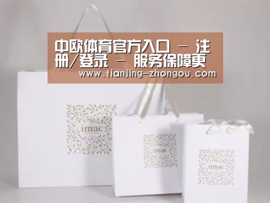 项目名称十一