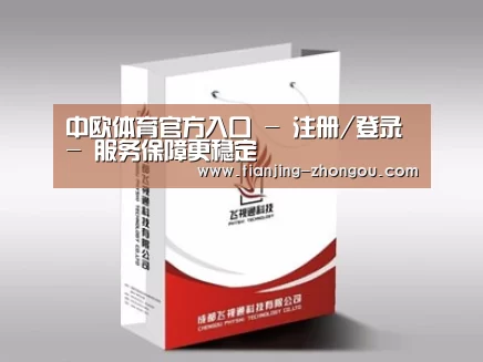 项目名称十三
